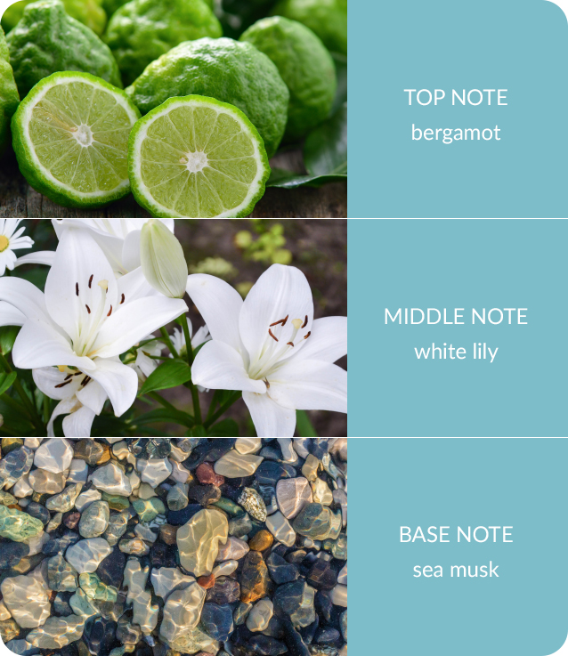 Bergamot-Sea-Musk-2.jpg