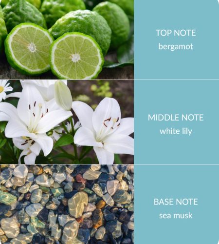 Bergamot-Sea-Musk-4.jpg